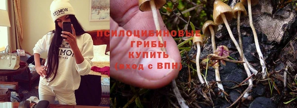 спиды Абинск