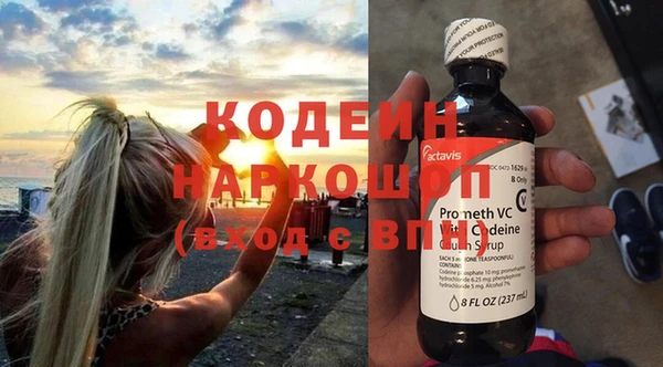 прущие грибы Алзамай