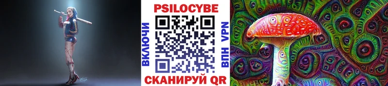 где купить наркоту  Алатырь  Псилоцибиновые грибы Cubensis 