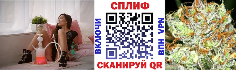 блэк спрут   Алатырь  Марихуана ГИДРОПОН 